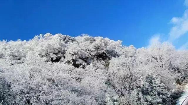 此人是唐朝灭亡后的皇室幸存者，千年后的子孙竟成晚清巨富