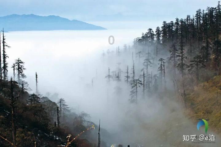 召唤神龙万宁版祖龙