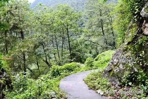 逃离遗弃的建筑4
