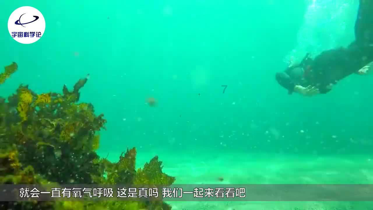 卡夫卡:书必须是用来凿破人们心中冰封海洋的一把斧子