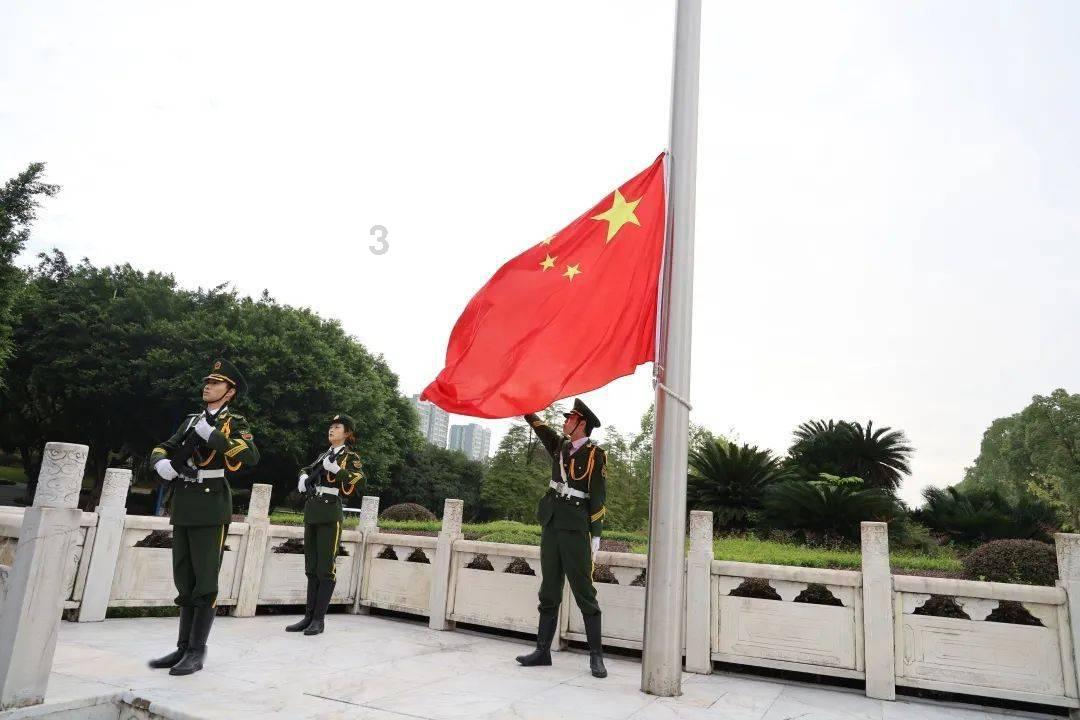 家里养什么植物好啊？